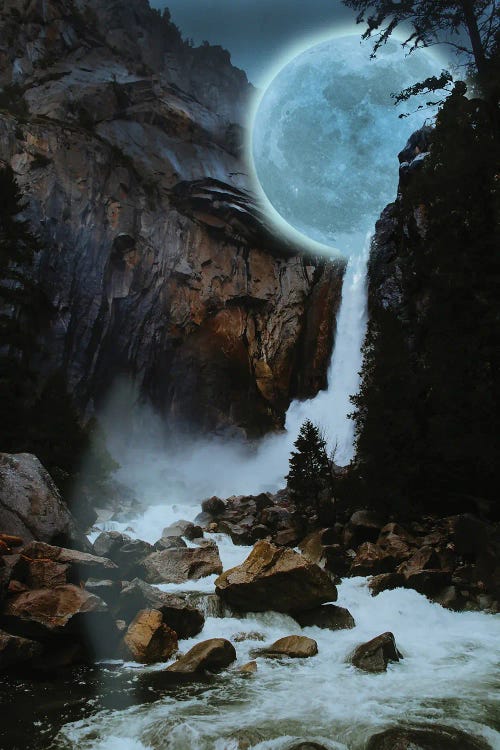 Moon Light Fall by David Loblaw wall art