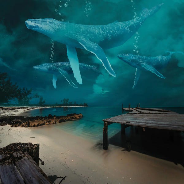 Kids Ocean Life Art: Ghost Whale At Night by David Loblaw