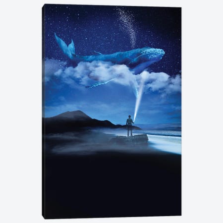 Night Whale Canvas Print #DLB21} by David Loblaw Canvas Art Print