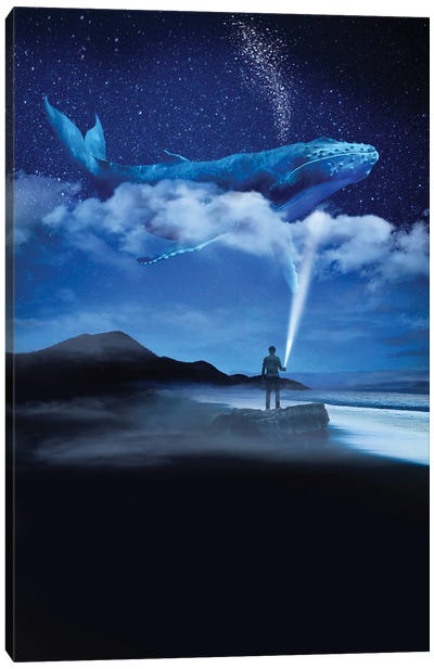 Night Whale Canvas Art Print - Gentle Giants