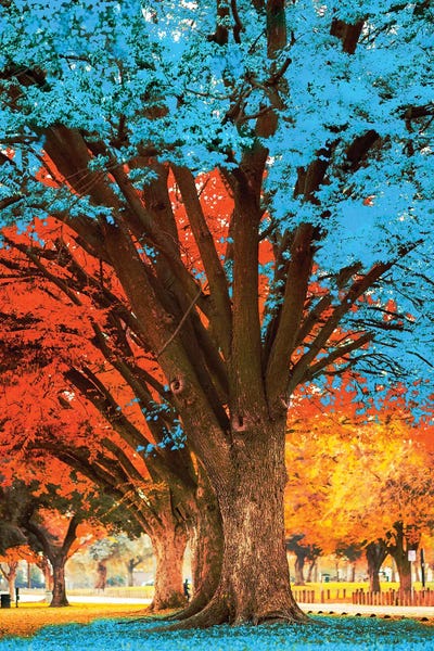 Imagination: Blue Tree by David Loblaw