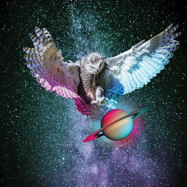 Imagination: Cloking Sature by David Loblaw