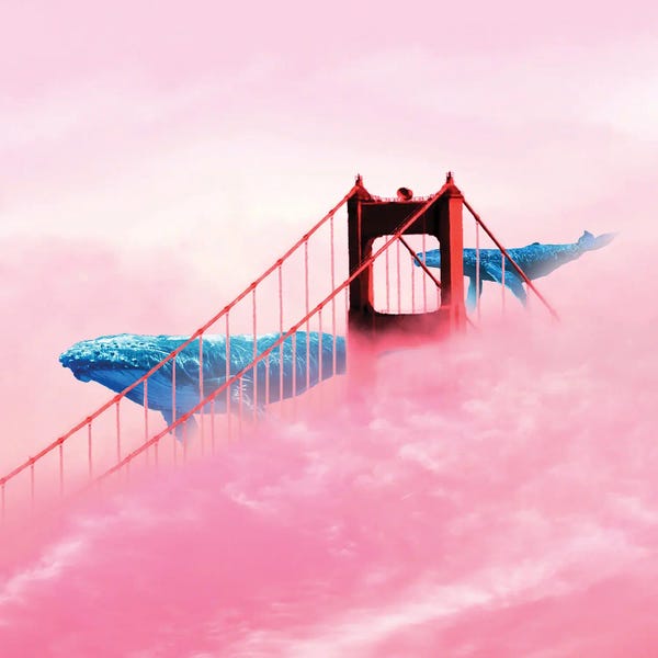 Sweet Escape: Coastal Whale Watching by David Loblaw