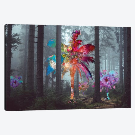 Diversity In The Forest Canvas Print #DLB29} by David Loblaw Art Print