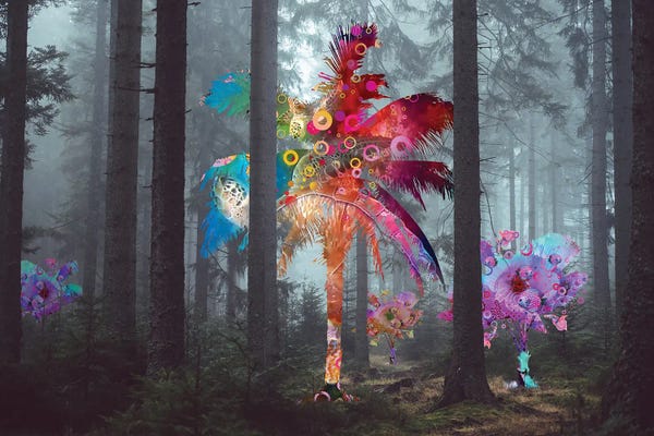 Imagination: Diversity In The Forest by David Loblaw