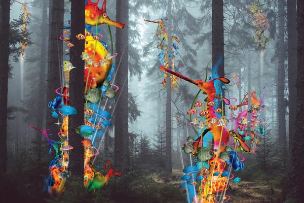 Seahorses: Forest Of Sea Creatures by David Loblaw