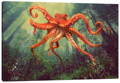 Octo Forest Canvas Art Print - Animal Lover