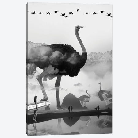 Ostrich At The Beach Canvas Print #DLB44} by David Loblaw Canvas Wall Art
