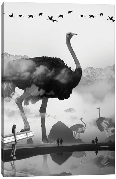 Ostrich At The Beach Canvas Art Print - David Loblaw