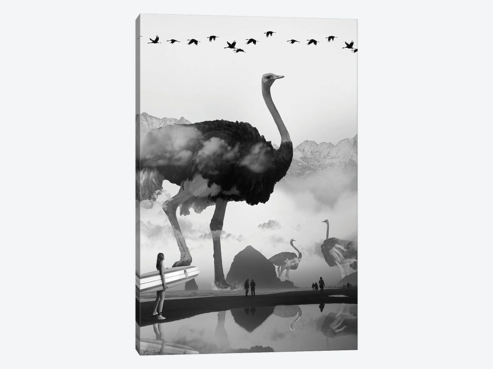 Ostrich At The Beach by David Loblaw 1-piece Art Print