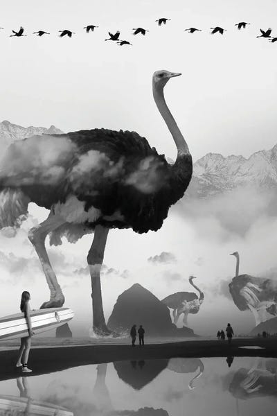 Rocky Mountains: Ostrich At The Beach by David Loblaw