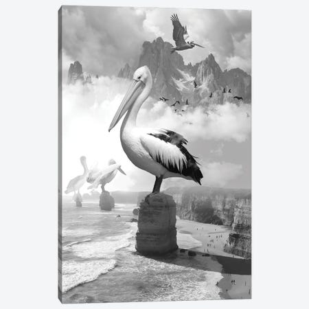 Giant Pelicans Peak Canvas Print #DLB47} by David Loblaw Canvas Art