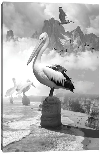 Giant Pelicans Peak Canvas Art Print - David Loblaw