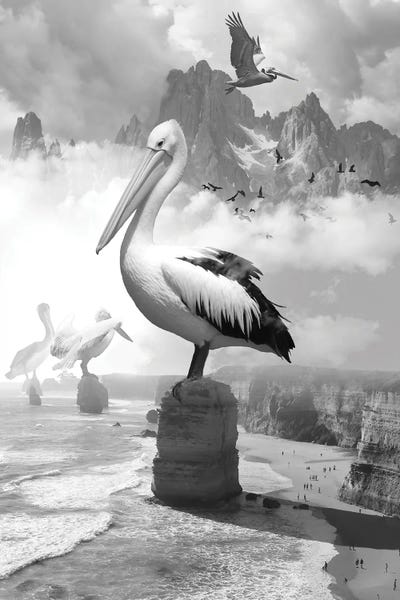 Rocky Mountains: Giant Pelicans Peak by David Loblaw