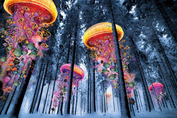 Pine Trees: Forest Of Electric Jellyfish Winter by David Loblaw