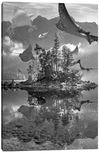 Rays Lake Canvas Art Print - Ray & Stingray Art