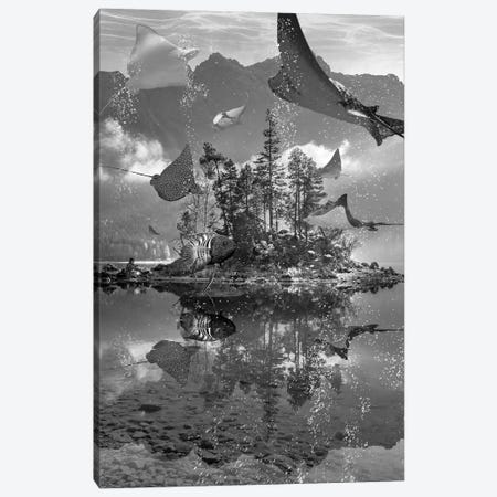Rays Lake Canvas Print #DLB53} by David Loblaw Canvas Art