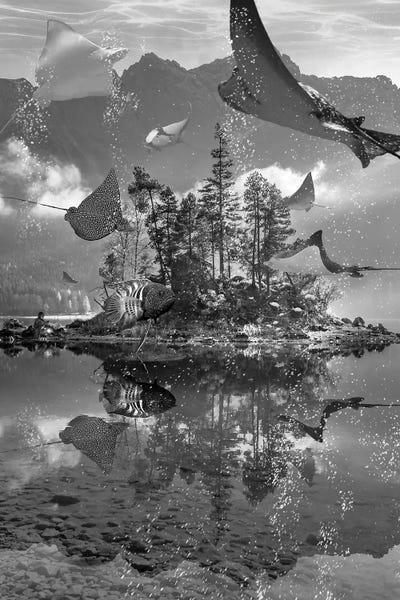 Swordfish: Rays Lake by David Loblaw