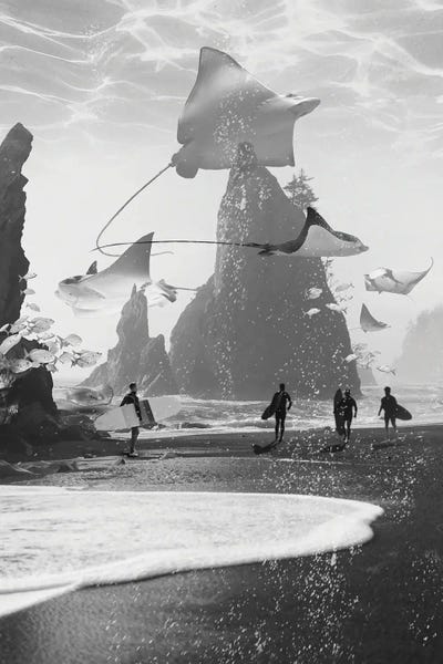 Rays: Rays Point by David Loblaw