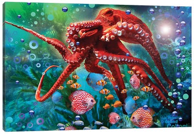 Red Octopus Canvas Art Print - Clown Fish Art