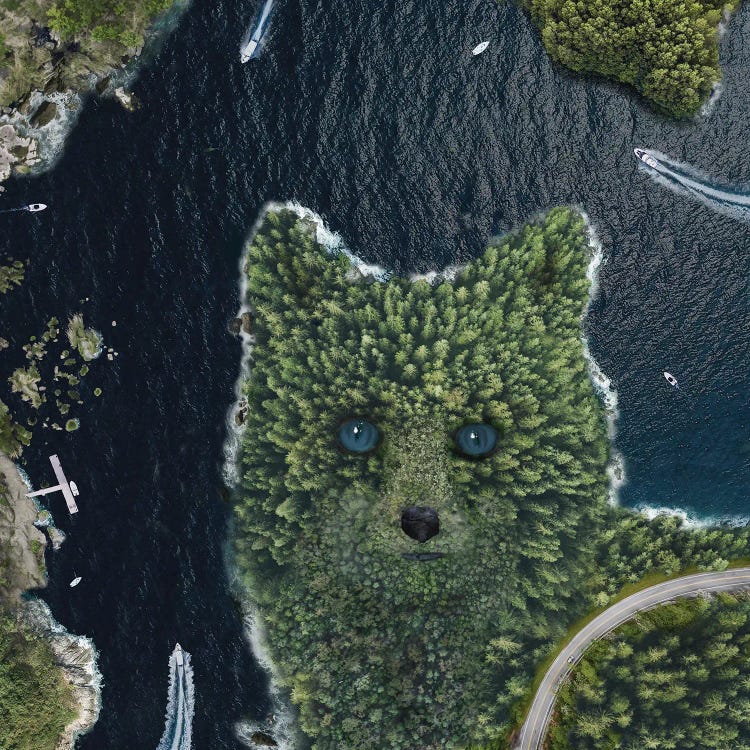 Fox Point From Above