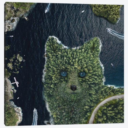 Fox Point From Above Canvas Print #DLB5} by David Loblaw Art Print