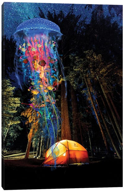 Electric Jellyfish Visits A Campground Canvas Art Print - Pine Tree Art