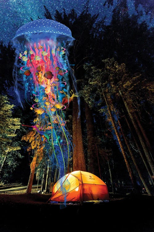 Electric Jellyfish Visits A Campground by David Loblaw wall art