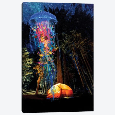 Electric Jellyfish Visits A Campground Canvas Print #DLB62} by David Loblaw Canvas Print