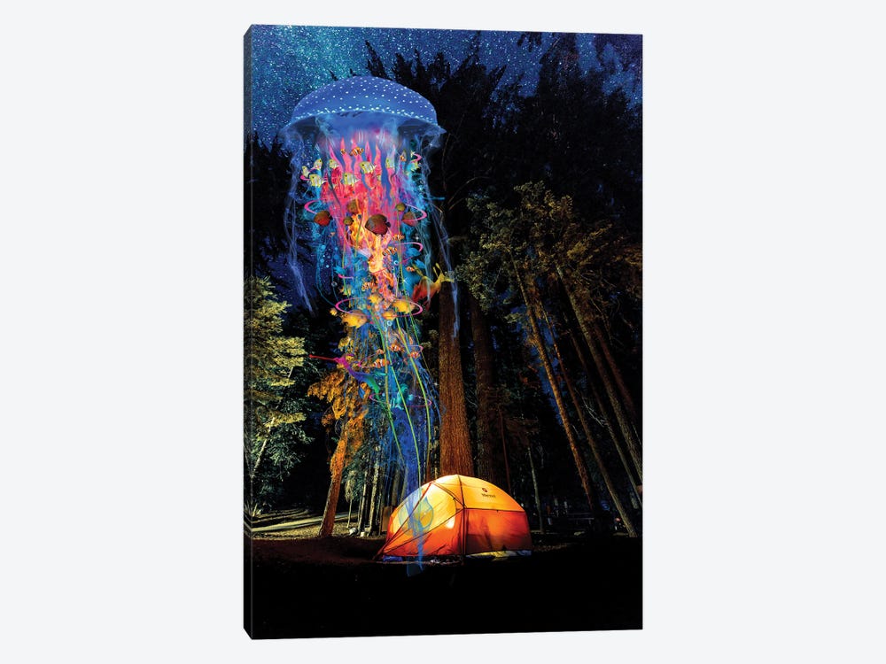 Electric Jellyfish Visits A Campground by David Loblaw 1-piece Art Print