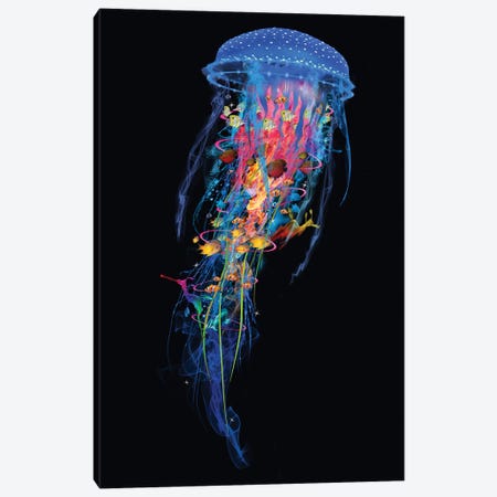 Electric Blue Jellyfish Canvas Print #DLB63} by David Loblaw Canvas Art Print