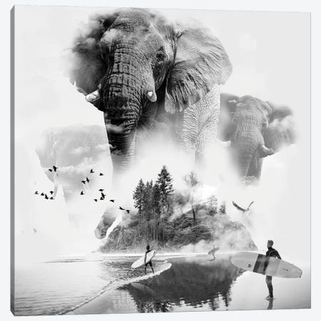 Elephant In The Mist Surfer Canvas Print #DLB66} by David Loblaw Canvas Artwork