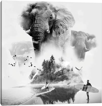 Elephant In The Mist Surfer Canvas Art Print - David Loblaw