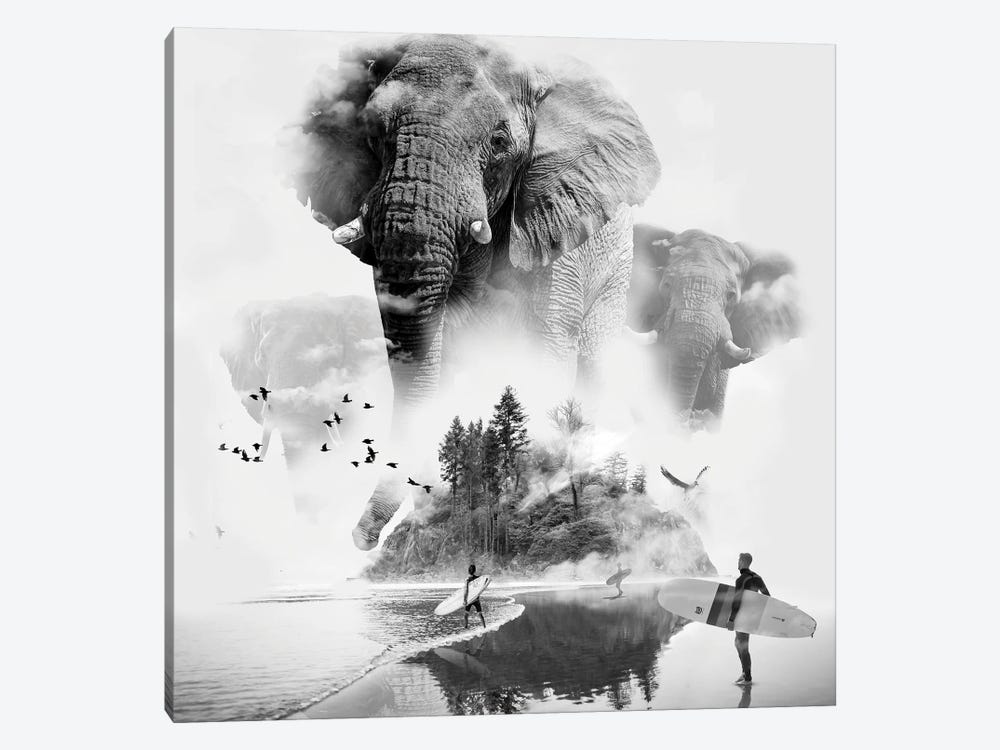 Elephant In The Mist Surfer by David Loblaw 1-piece Canvas Print