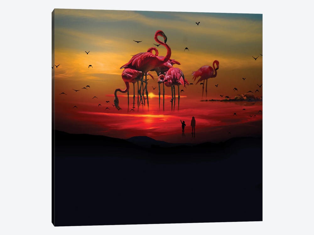Flamingo Beach by David Loblaw 1-piece Canvas Print