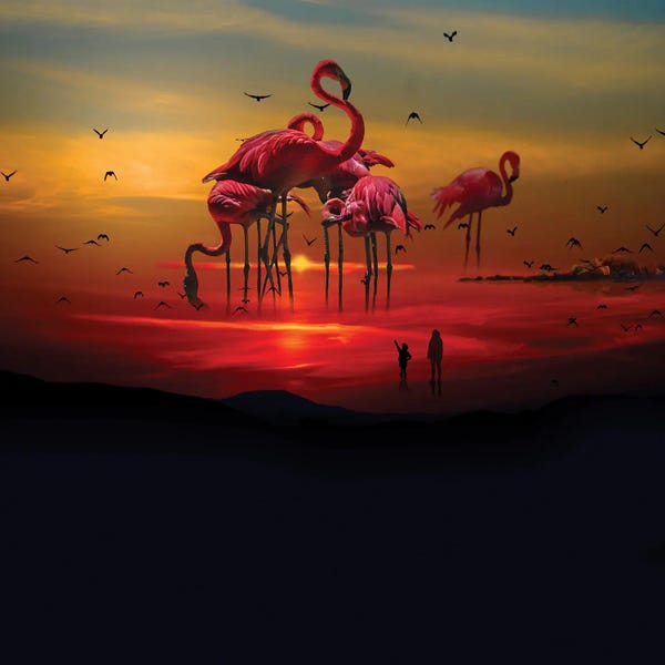 Imagination: Flamingo Beach by David Loblaw
