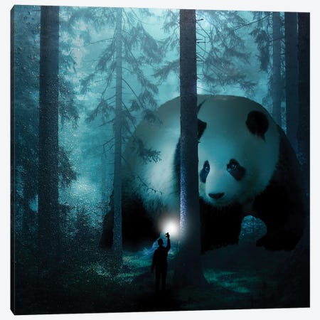 Giant Panda In A Forest Canvas Print #DLB6} by David Loblaw Canvas Art Print