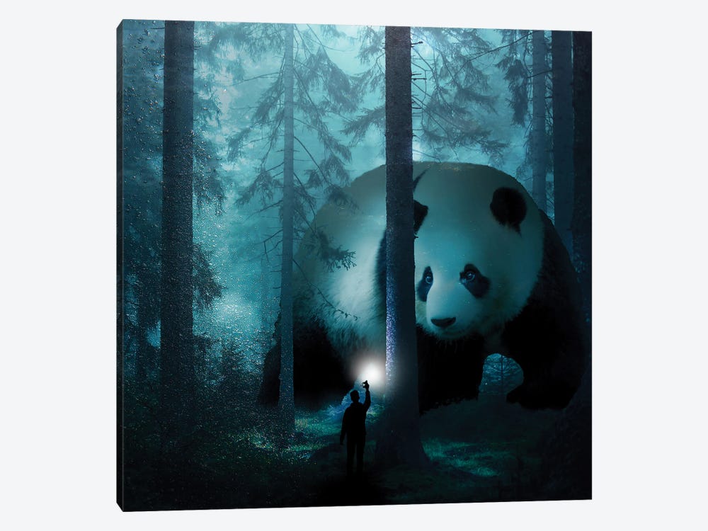 Giant Panda In A Forest by David Loblaw 1-piece Canvas Art Print