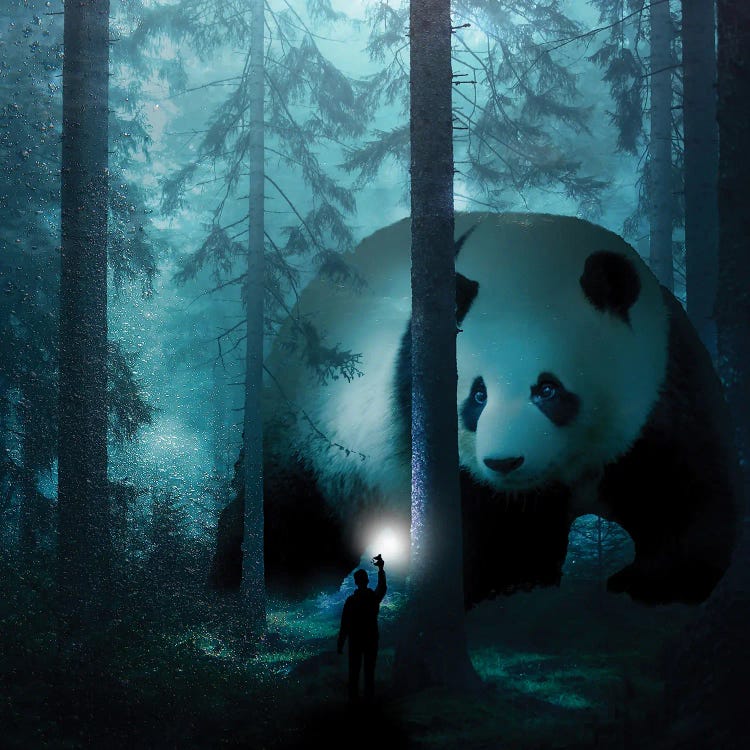 Giant Panda In A Forest
