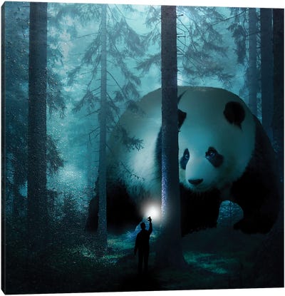 Giant Panda In A Forest Canvas Art Print - David Loblaw