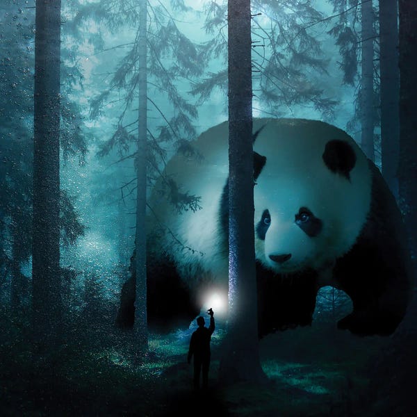 Imagination: Giant Panda In A Forest by David Loblaw
