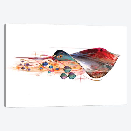 Colorful Stingray Canvas Print #DLB73} by David Loblaw Canvas Artwork