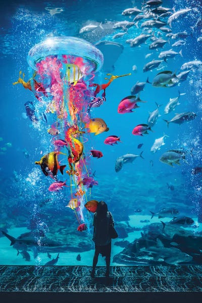 Kids Ocean Life Art: Super Jellyfish In Aquarium Tank by David Loblaw