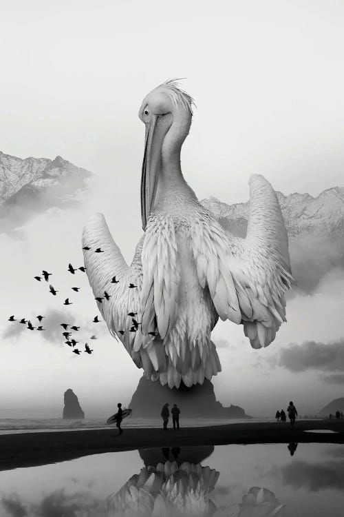 Sea Bird Free Bird by David Loblaw wall art