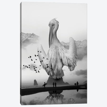 Sea Bird Free Bird Canvas Print #DLB76} by David Loblaw Art Print