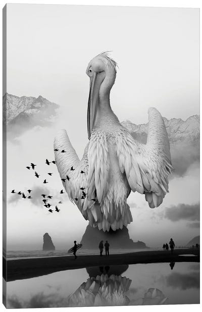 Sea Bird Free Bird Canvas Art Print - Pelican Art