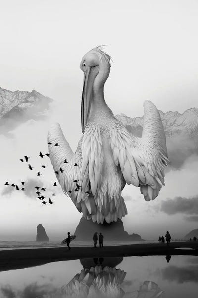 Rocky Mountains: Sea Bird Free Bird by David Loblaw