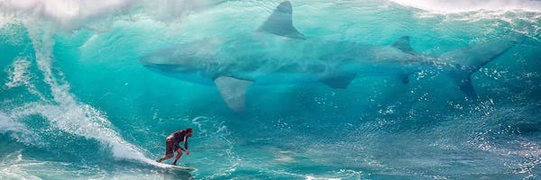 Imagination: Shark Surfer by David Loblaw