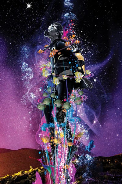 Clown Fish: Star Diver by David Loblaw