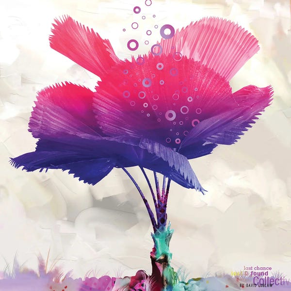 Imagination: Sunset In A Palm by David Loblaw